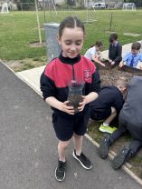 St. Marys\' Science Experiment: Creating a Wormery