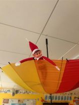 Timber the Elf keeps watch over Ms. O\'Gara\'s Class!